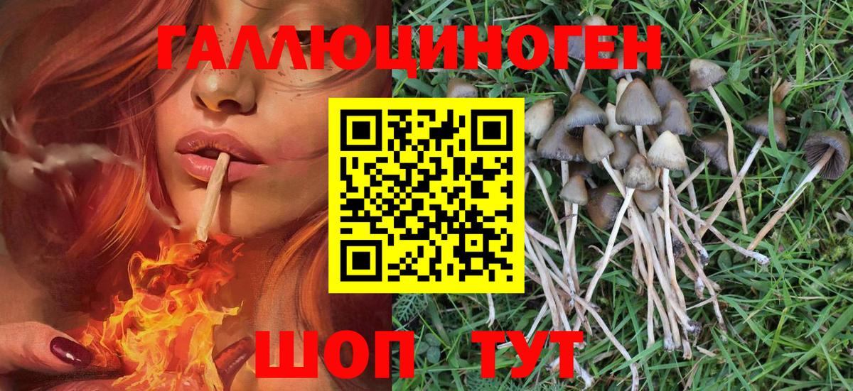 Галлюциногенные грибы Magic Shrooms  Псилоцибиновые грибы мухоморы  Сыктывкар  Вход с VPN 