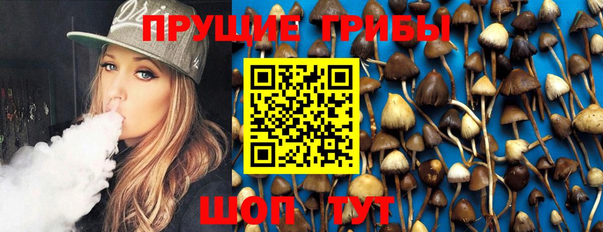 Галлюциногенные грибы GOLDEN TEACHER Сыктывкар